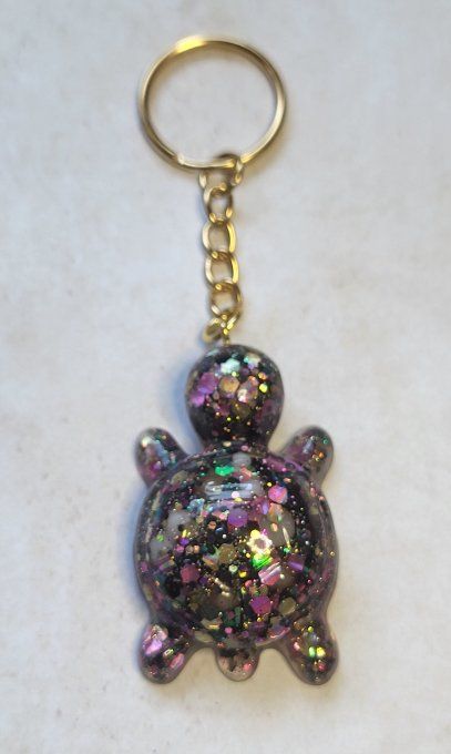 Tortue bombée